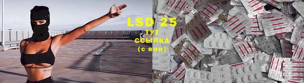 стаф Белоозёрский