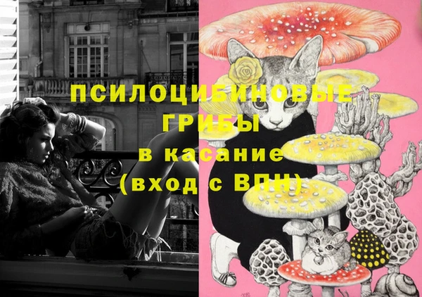стаф Белоозёрский