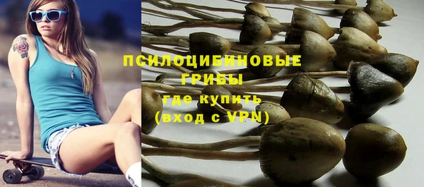 синтетический гашиш Белокуриха
