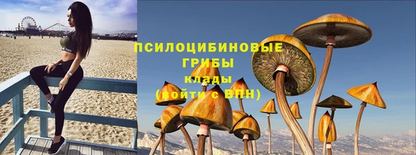 стаф Белоозёрский