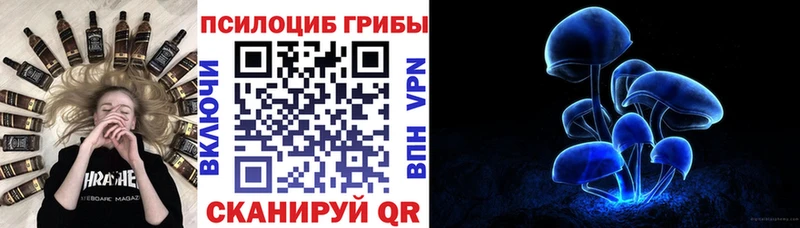 цена наркотик  Луховицы  Галлюциногенные грибы Psilocybe 